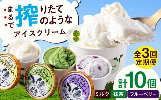 【全3回定期便】ミルク工房 カップアイスセット（130ml×10個）《喜茂別町》【ニセコリゾート観光協会】 アイス アイスクリーム ジェラート ミルク 抹茶 ブルーベリー 詰め合わせ 冷凍配送 北海道 [AJAI056] 33000 33000円