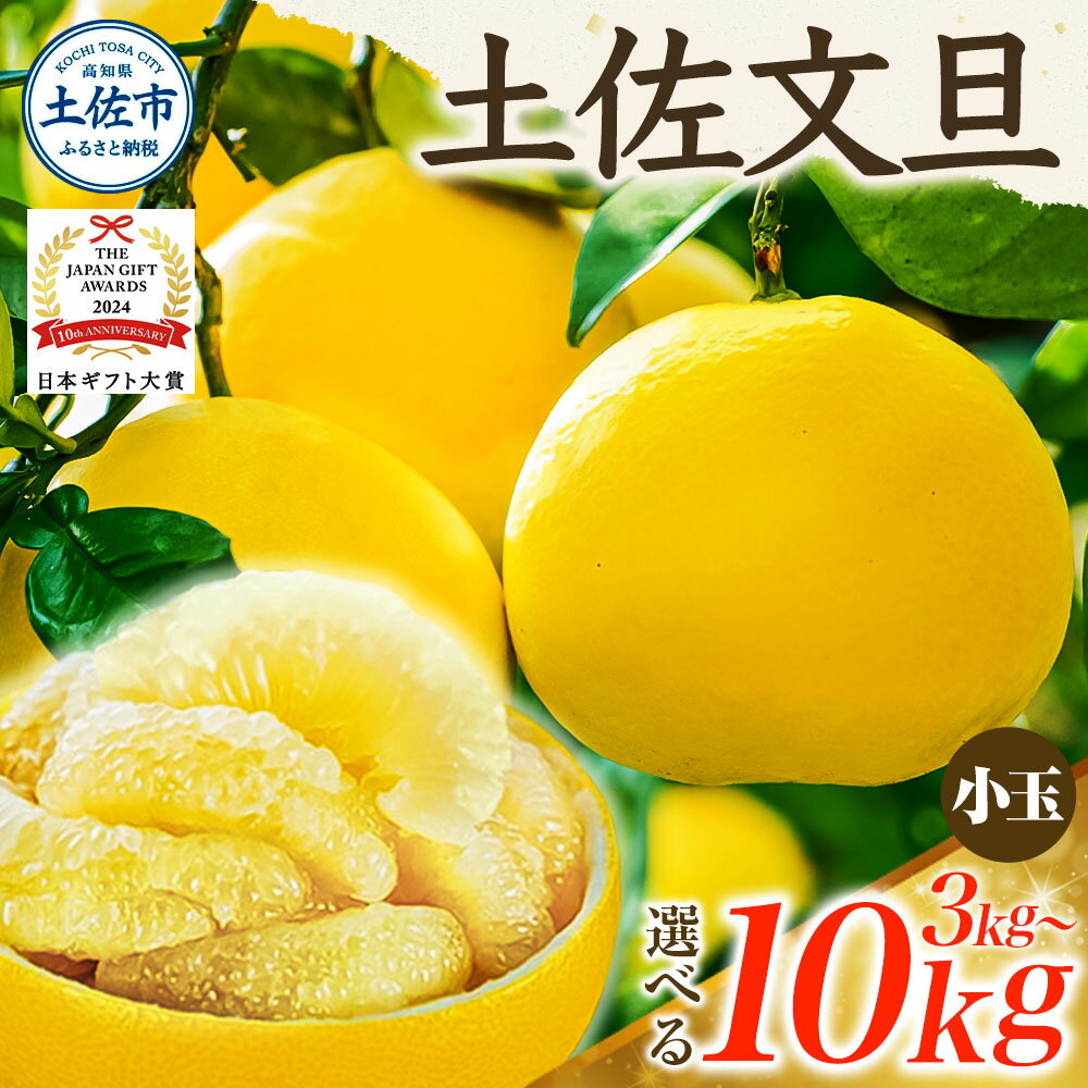 園主こだわりの土佐文旦 選べる内容量 3kg～ 小玉（L～Mサイズ） ぶんたん ブンタン 柑橘 みかん フルーツ 果物 家庭用 美味しい お取り寄せ 土佐 高知 やの一果彩 ふるさとのうぜい ふるさと納税 春 旬 故郷納税 高知県 5000円～ 土佐市