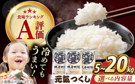 元気つくし 10kg （5kg×2袋） 米 こめ コメ お米 ご飯 ごはん 精米 白米 新米 ライス 元気つくし 県産米 国産米 ブランド米 福岡 めし丸 広川町 / JAふくおか八女農産物直売所どろや [AFAB064]