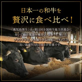 奇数月発送 鹿児島黒牛 スライスセット （肩ロース・ウデ） 3回定期便