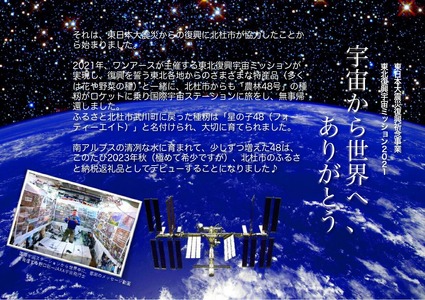 北杜宇宙米　星の子 48 米 白米 5kg 武川産農林48号 星の子48 宇宙米 山梨県 北杜市 【数量限定】