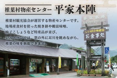 【日本三大秘境からの贈り物】干したけのこ(孟宗竹) 100g×1袋