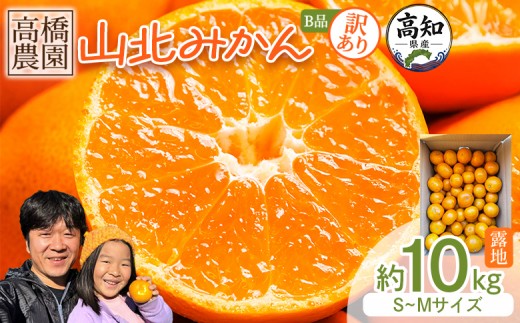 
                  【2026年11月中旬より順次配送】みかん 10ｋｇ 山北みかん 訳あり 露地(Ｓ～Ｍ) - みかん ミカン 小玉みかん 大玉みかん 高知県 香南市 果物 フルーツ ミカン 蜜柑 柑橘 家庭用 自宅用 新鮮 農家直送 露地 1万円以上 10000円以上 ブランドみかん 人気 糖度 訳あり th-0032
                