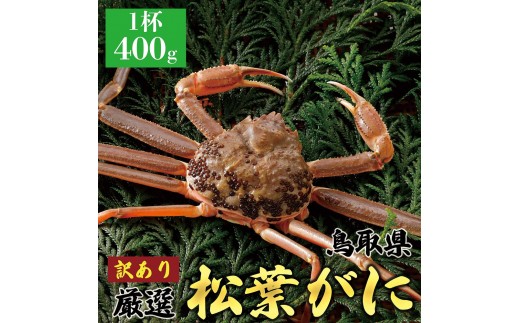 
                  1059.＜2026年11月5日～30日発送＞特撰 松葉がに（なま）【訳あり】400g超のサイズ 食べ応えあり 1杯
                