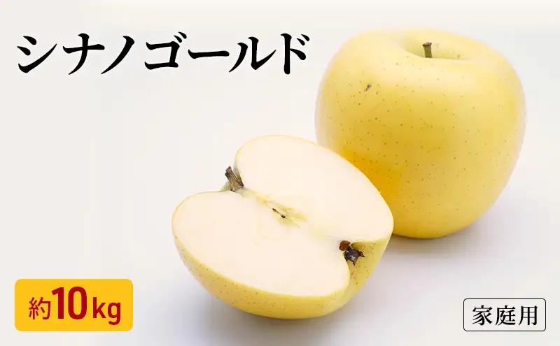 【先行予約】令和8年度産 訳あり りんご シナノゴールド 約10kg 28～40玉入 フルーツ 果物 甘い 訳あり 林檎 リンゴ