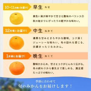 小粒みかん 約8kg 【家庭用】 森本農園の手選別 和歌山県産【BV-mrmt063】