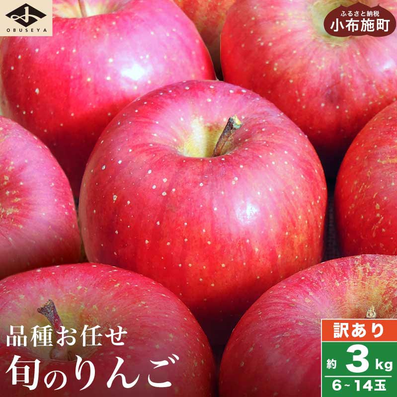 【ふるさと納税】 【訳あり】 選べる配送時期 旬のりんご 約3kg 6～14玉 ［小布施屋］ 傷 規格外 訳アリ 家庭用 りんご 林檎 リンゴ 果物 フルーツ 長野県産 信州産 産地直送 数量限定 先行予約 10月 11月 12月 1月 2月 3月 4月発送 令和7年産 【2025年10月～2026年4月配送】