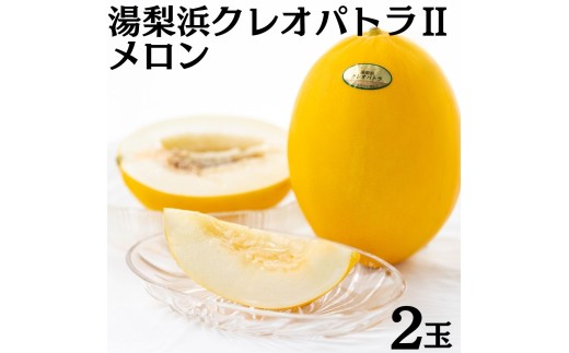 20M.湯梨浜クレオパトラⅡメロン2玉