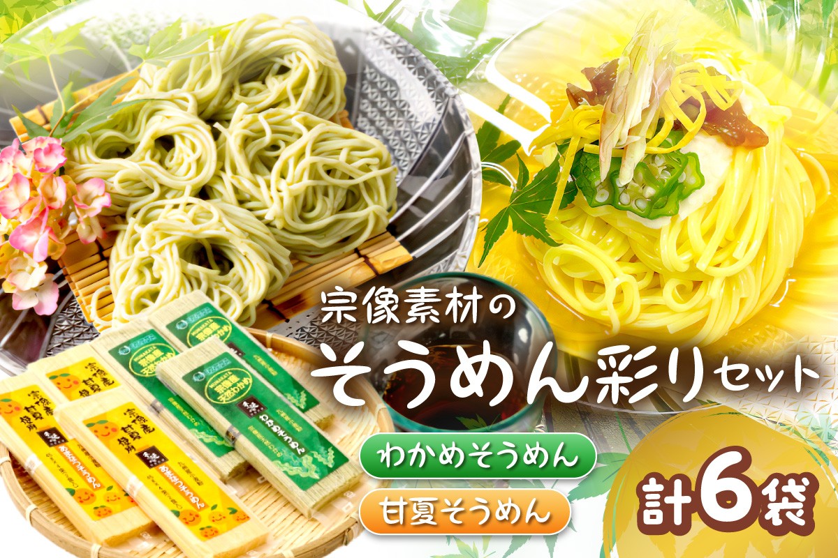 
                  【道の駅むなかた】宗像素材のそうめん彩りセット(計1,080g)_HA1840
                