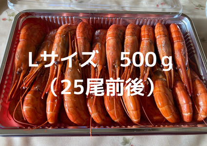 北海縞海老 シマエビ 500g 25尾 Lサイズ 北海縞えび 国産 海老 しまえび 冷凍 えび エビ ボイル済み