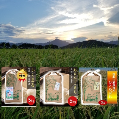 
                  筑波山麓産 食べ比べ3種セット(あきたこまち・ひとめぼれ・ふくまる)各5kg 計15kg【1734926】
                
