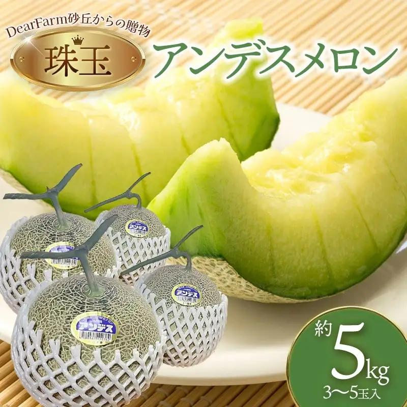 【令和8年産先行予約】　DearFarm砂丘からの贈物　＜珠玉アンデスメロン＞　約5kg（3～5玉）山形県鶴岡市　K-836