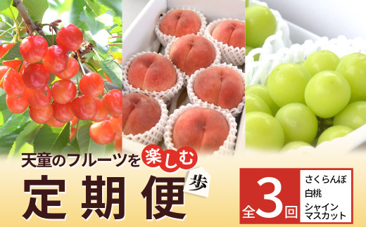 08-10-036　天童のフルーツを楽しむ定期便【歩】（さくらんぼ、白桃、シャインマスカット）