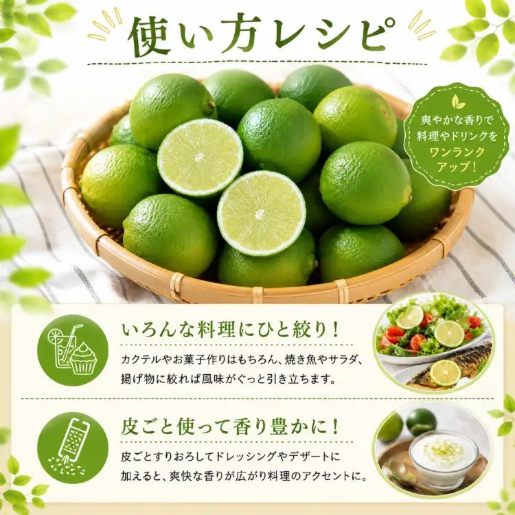 【2026年9月中旬頃から順次発送】さわやか果実 ライム 約3kg | ライム みかん 柑橘 国産ライム ジュース カクテル スイーツ サラダ 愛媛 松山 北条 果物 フルーツ 産地直送【HMN013