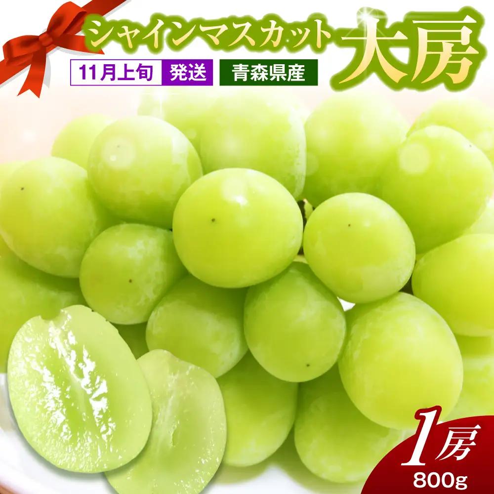 【2026年11月上旬発送】 シャインマスカット 大房 800g 青森産
