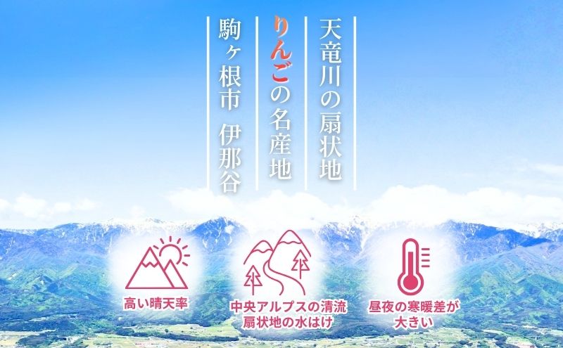 りんご 長野 贈答用 リンゴ ぐんま名月 約4.5kg（14玉～18玉） 産地直送 ギフト プレゼント 贈答 贈答品 贈り物 蜜 フルーツ 果物 デザート 林檎 秋 旬 信州 長野県