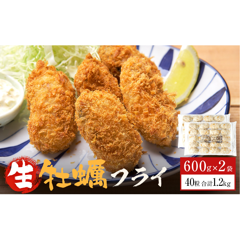 三陸産カキフライ600g（20粒入）×2パックセット 冷凍 牡蠣 かき 大粒 海鮮 貝 揚げ物 オイスター おかず おつまみ 美味しい サクサク