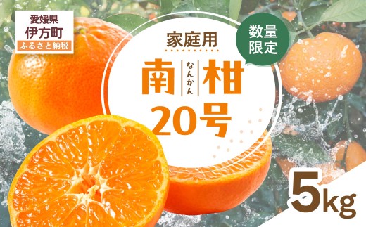 【先行受付】【数量限定】【家庭用】南柑20号（生果）5kg（2026年12月上旬頃より順次発送）  【ふるさと納税 人気 おすすめ ランキング 柑橘 みかん ミカン 南柑20号 蜜柑 果物 生果 フルーツ 家庭用 Y.ONE農園 愛媛県産 愛媛県 伊方町 送料無料】 IKTQ011