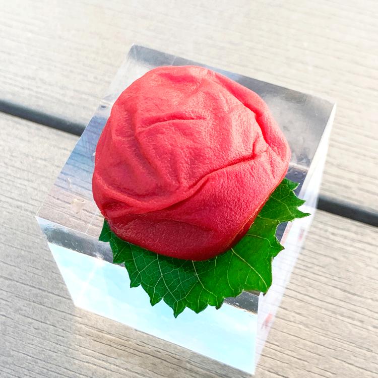 M274　moro moloプレミアセット B