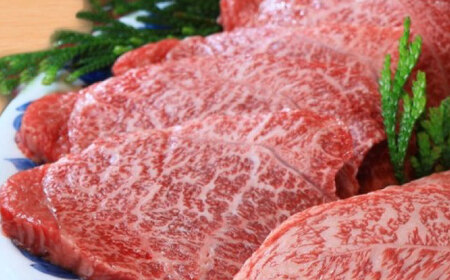 【現行寄附額5月7日まで！】伊万里牛赤身ステーキ 1kg（100g×10枚）ソース付き / 伊万里牛 伊萬里牛 牛肉 赤身 ステーキ / 佐賀県 / まつお食肉卸株式会社[41AECZ011]