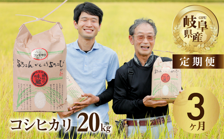 【コシヒカリ3回定期便】コシヒカリ20kg ハーベストジョイ[mt091]