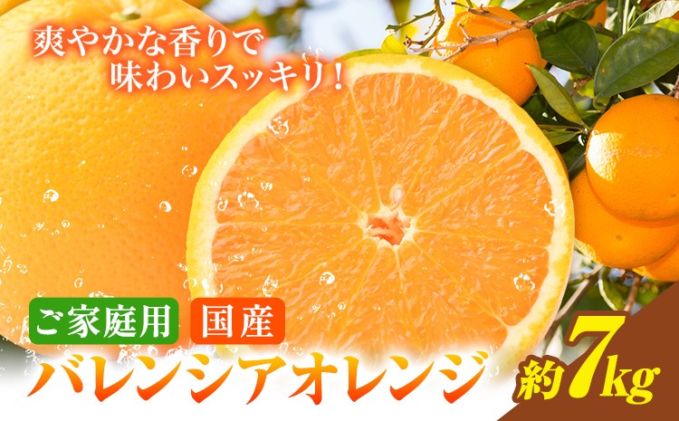 【ご家庭用訳あり】※先行予約※希少な国産バレンシアオレンジ 約7kg 株式会社魚鶴商店《2027年6月下旬-7月上旬出荷》和歌山県 日高川町---wshg_uota54_l67_23_16500_7kg---