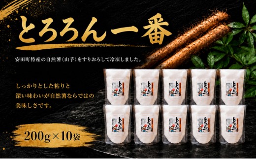 安田町産 中山 自然薯とろろん1番(すりおろし)10袋 とろろ とろろ汁 冷凍 小分け 自然薯 すりおろし じねんじょ 山芋 やまいも うどん 饂飩 そば 蕎麦 山かけ やまかけ 麦とろ むぎとろ 汁 200g 10袋 簡単調理 野菜 やさい ぽん酢 鍋 芋 レシピ お好み焼き ふわふわ ふるさと納税野菜 ふるさと野菜 クリスマス 年末年始 人気 プレゼント 安田川 高知県 安田町 JN-03