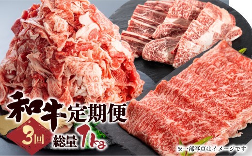 
                  【3回定期便】 和牛定期便 総重量1kg お楽しみ 飛米牛 ひめぎゅう 牛肉 肉 にく 切落し 切り落とし 焼肉 すき焼き しゃぶしゃぶ 焼き肉 定期便牛肉 BBQ 個包装 国産 和牛肉 定期便肉 ぎゅうにく にく 切り落とし肉 3回 3か月 毎月 定期 岐阜県 飛騨市
                