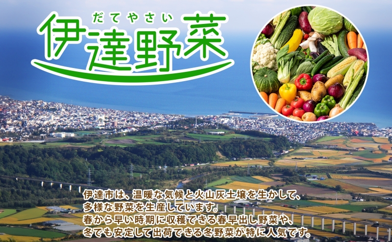 北海道 朝もぎ とうもろこし 恵味 ゴールド L-LLサイズ 20本 スイート コーン トウモロコシ とうきび 旬 完熟 野菜 採れたて 朝採り 甘い めぐみ 産地直送 道産 栗橋農園 送料無料