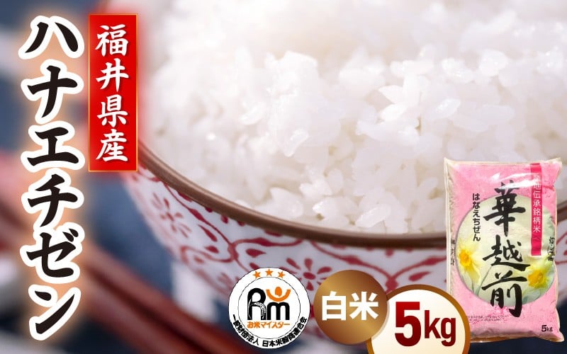 
            【新米】令和7年産 米 5kg 精米 ハナエチゼン 福井県越前町産《7日前後に出荷》【白米 5キロ 華越前 はなえちぜん  お米 ごはん 人気品種 こしひかり 血統品種  kome スピード発送】 [e66-a007]
          
