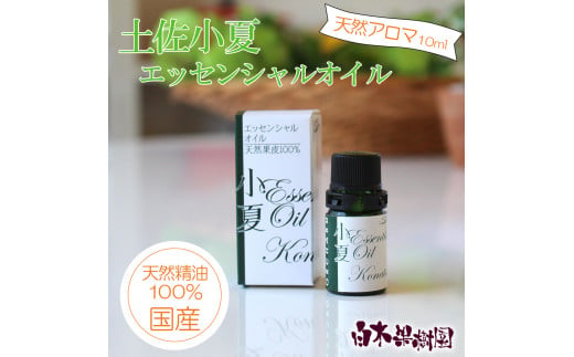 土佐小夏 エッセンシャルオイル 10ml 小夏 アロマオイル 精