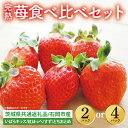 【ふるさと納税】【先行予約】【選べる】完熟苺 食べ比べセット 2パック or 4パック【茨城県共通返礼品：石岡市】│ 完熟 いちご イチゴ いばらキッス 紅ほっぺ すず とちおとめ（BH001）