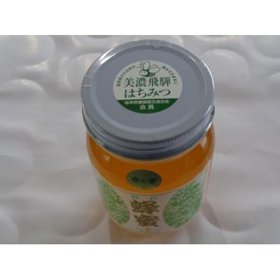 ふるさと納税 恵那市 はちみつ　600g×1 |  | 01