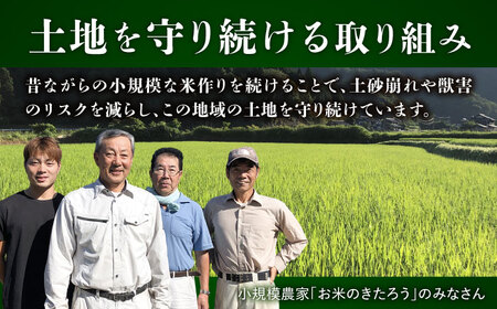 【先行予約】【令和6年産 新米】 福井県産こしひかり 白米 10kg【2024年9月中旬より順次発送】[A-046003]