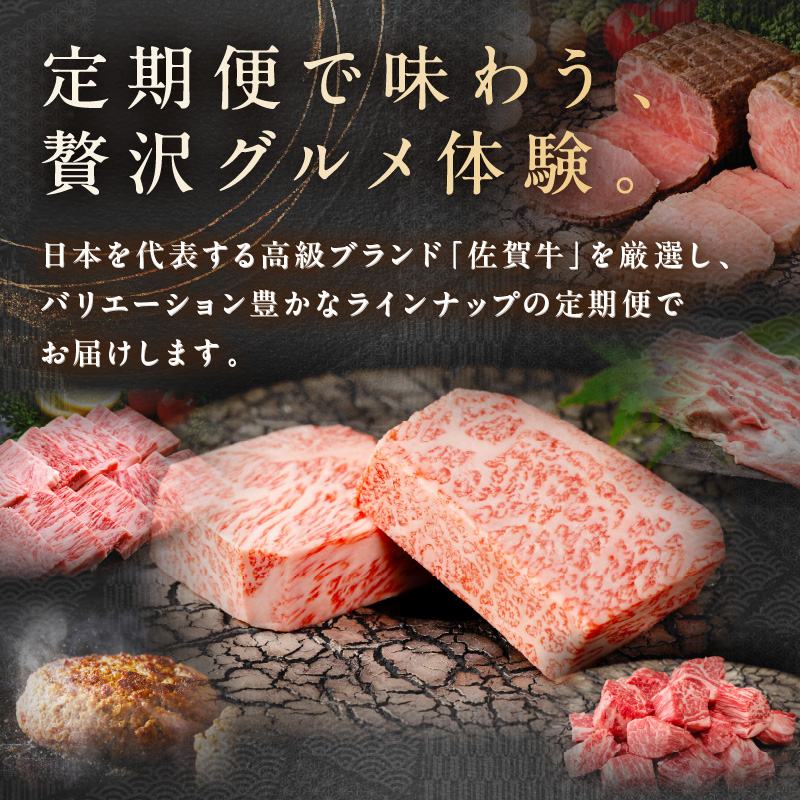 【発送月固定 定期便】肉の定期便! 佐賀牛 毎月月替わりでお届け 全12回 J1171