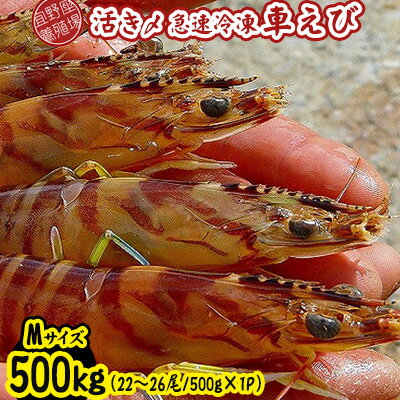 【ふるさと納税】【養殖場から直送】活き〆急速冷凍車えび　Mサイズ　約500g（22～26尾/500g×1P） 車海老 海鮮 魚介類 海産物 シーフード お取り寄せ 美味 料理 クルマエビ くるまえび 塩焼き フライ 天丼 お刺身 フリット 蝦 ゆで 送料無料 沖縄県産 たまや