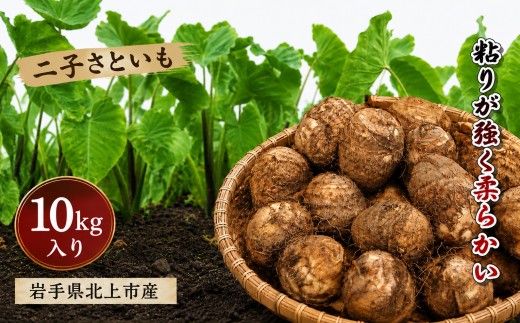 【予約受付 R8年産10月発送予定 】さといも 10kg 2L・3L サイズ 秋の味覚 北上市二子産 二子 ふたご 里芋もちもち 芋の子 特産品 季節 産地直送 贈り物 贈答 食物繊維 低カロリー 煮物 汁物 岩手県 北上市 D0287
