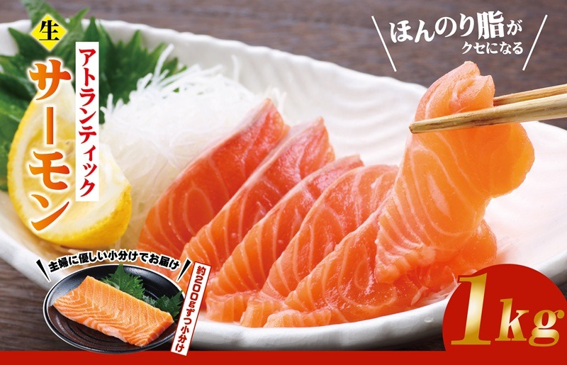 G3528 生食可！アトランティックサーモン  合計1kg【小分け 柵切り 刺身 魚介 海鮮】