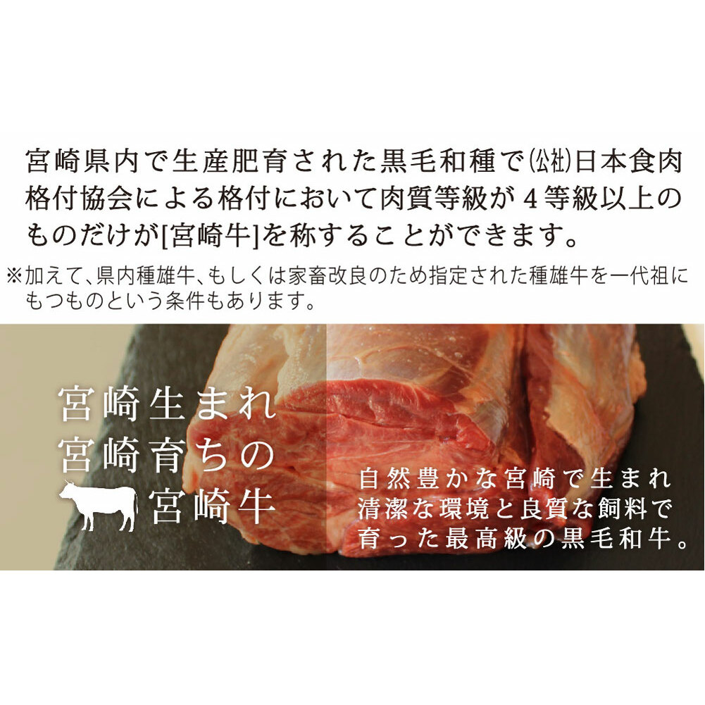 牛肉 ブロック 宮崎牛 スネ肉 800g [SHINGAKI 宮崎県 美郷町 31af0006] 黒毛和牛 A4 A5 牛 国産 宮崎 冷凍 牛 真空パック_イメージ4