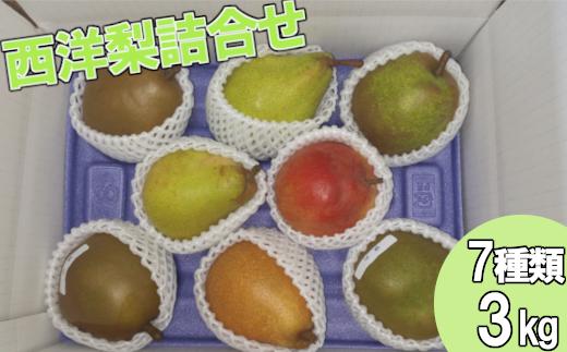 
            【先行予約】西洋梨詰合せ　7種 約3kg（7～10個） 蔵王産　【04301-0278】
          