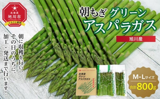 旭川産朝もぎ！グリーンアスパラガスL・Mサイズ各400g　合計800g(2026年5月中旬発送開始予定)_01942