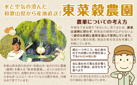 米 こめ きぬひかり きぬむすめ 5kg 東菜穀農園 《9月下旬-3月末頃出荷》 米米米