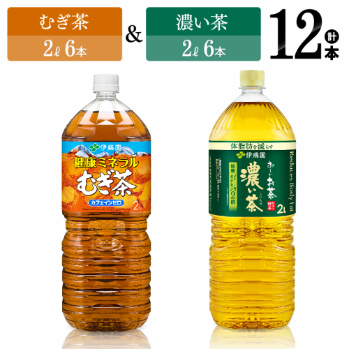 伊藤園　むぎ茶（2L）＆濃い茶（2L）(PET）12本 【伊藤園 飲料類 お茶 麦茶むぎ茶 濃い茶 緑茶 PET セット 詰め合わせ 飲みもの】