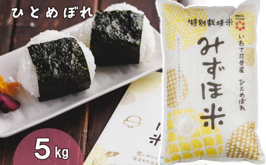 有機みずほ米 ひとめぼれ 白米 ５kg 【1387】