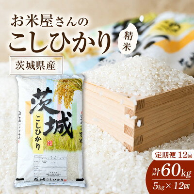 【ふるさと納税】【毎月定期便】お米屋さんのコシヒカリ 精米 5kg(1袋)全12回【4094329】