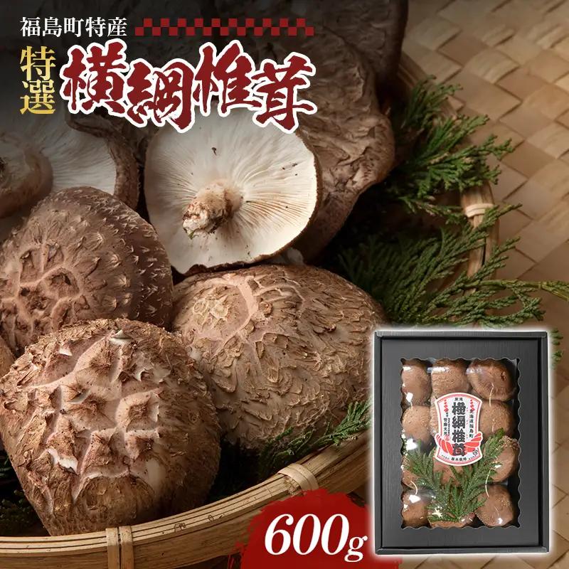 【先行予約 令和8年11月末発送】原木しいたけ 生椎茸 600g 北海道産 肉厚 プリプリ食感 濃厚な旨み 林野庁長官賞受賞「横綱椎茸」管藤農園 北海道福島町 FKG001