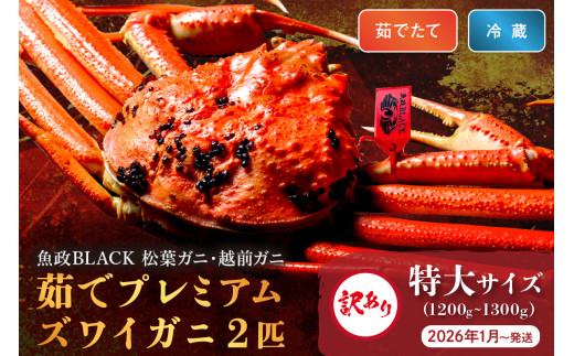 訳あり　【蟹の匠 魚政】茹で　プレミアムズワイガニ 魚政BLACK（松葉ガニ・越前ガニ） 特大サイズ（1200～1300g） 2匹セット　【2026年1月～発送：平日】松葉蟹 蟹 かに カニ ガニ がに ボイル まるごと 海産物 海鮮 魚介 魚介類 甲殻類 海の幸 小 京都 京丹後 京丹後市 ふるさと納税 蟹 送料無料　UO01325