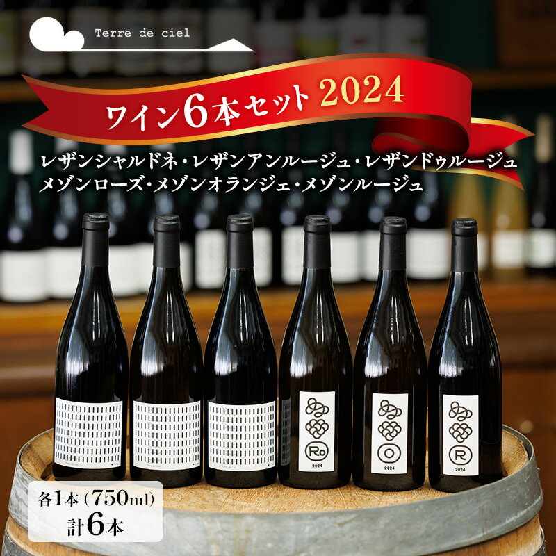 【ふるさと納税】父の日 テールドシエル ワイン 750ml 6本 セット 赤ワイン 白ワイン 酒 アルコール ギフト プレゼント
