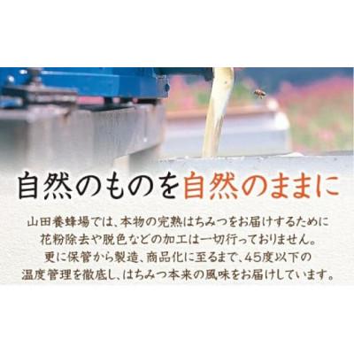 ふるさと納税 鏡野町 ローズマリー蜂蜜(12552) |  | 01