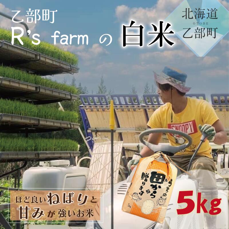 【ふるさと納税】＜北海道の米(5kg)～もっちり柔らか！若手農家が作る米＞ 5kg 北海道 乙部町 甘い 米 もちもち 北海道産 お米 北海道米